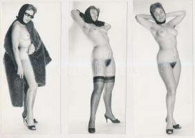 cca 1970 Kardigán és bunda alatt, ám negyven fölött..., 6 db  finoman erotikus fénykép, 17x8 cm /
c...