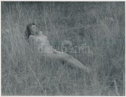 cca 1970 Öten szabadon, a szabadban, 5 db finoman erotikus fotó, 24x18 cm és 9x14 cm /
cca 1970 5 e...