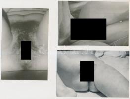 Pornóképek, 5 db fotó, 16x12 cm és 9x14 cm