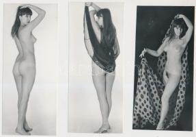 cca 1970 Nemcsak szép, játékos is! 9 db finoman erotikus fotó, 14x7 cm /
cca 1970 9 erotic photos, ...