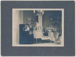 cca 1910-1920 Jelfy Gyula riportképe egy budapesti polgári lakás szalonjából, hidegpecséttel jelzett, 11x14 cm, karton 17x23 cm