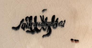 Sarreguemines 19. századi antik francia dísztányér, levonóképes, jelzett, hibátlan, d:21,5 cm