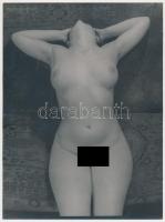 cca 1950 Demeter Károly (1892-1983) budapesti fényképész műtermi aktfelvétele, a szerző hagyatékában levő negatívról készült későbbi jelzés nélküli másolat, 24x18 cm