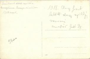 1918 Első világháborús lezuhant olasz repülőgép a Conegliano-Susegana műúton / WWI K.u.k. military, ...