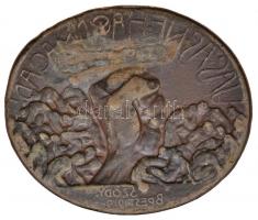 Sződy Szilárd (1878-1939) 1919. "Vasas ne hagyd magad!" Br lemezérem (43x52mm) T:2