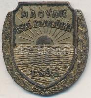 DN "Magyar Úszó Egyesület 1893" aranyozott Br emlékérem (32x30mm) T:2-