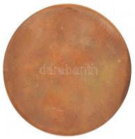 1951. "VERTESZ 1951 - Villamoserőmű Tervező és Szerelő Vállalat" Br plakett (90mm) T:2