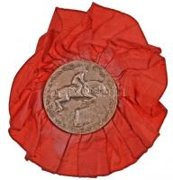 DN "Nemzeti Lovarda Lovasmérkőzése" aranyozott Br díjérem szalagon (40mm) T:2-
