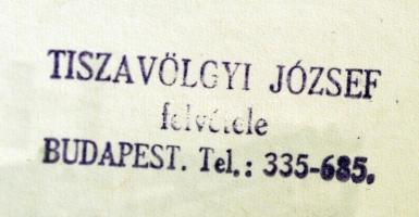 Tiszavölgyi József: A Gellért-hegy, pecséttel jelzett fotó, 29x24 cm