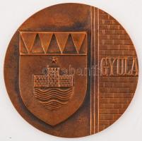 Kiss László (1947-): Gyula. Bronz plakett, jelzett, d:9,5 cm