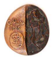 Mladonyiczky Béla (1936-1995): Gyula. Bronz plakett, jelzett, d:5 cm