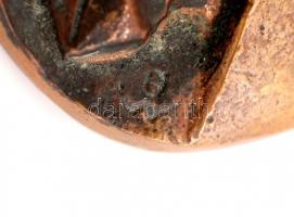 Mladonyiczky Béla (1936-1995): Gyula. Bronz plakett, jelzett, d:5 cm