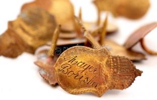 12 db régi címeres zászlórúd szeg, gravírozott nevekkel, réz, h:2 cm