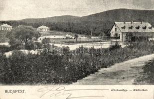 Budapest II. Hűvösvölgy (kis szakadás / small tear)