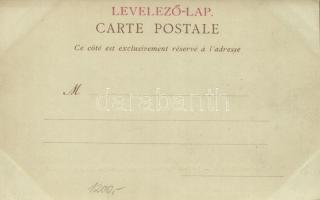 Funerailles du President Felix Faure; Dupuy, Franck-Chauveau, Loubet / the funeral of French Preside...