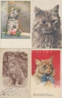 60 db RÉGI motívumlap sok lithoval, vegyes minőség; macskák / 60 old motive cards with many lithos, mixed quality; cats