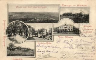 Budapest XI. Kamaraerdő, vendéglő, Villa Márta, Józsa lak, Ludwig-Höhe