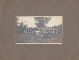 1913 Gógai vadászaton, kartonra kasírozott fotó, feliratozva, 14x8 cm, karton 24x19 cm