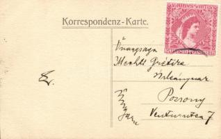 K.u.K. army, Austrian officer Osztrák katonatiszt