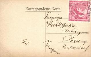 Osztrák katonatiszt s: Elemér K.u.K. army, Austrian officer s: Elemér