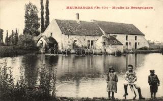Meursanges, Moulin de Bourg / mill