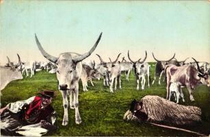 Hungarian folklore, Hortobágy