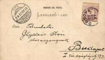 1897 Orsova, Herkulesfürdő, Kazán; Verlag G. Hutterer, floral