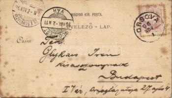 1895 (Vorläufer!) Orsova, Tabula Traiana, Kazán, Széchenyi emlék; Verlag G. Hutterer, floral (fl)