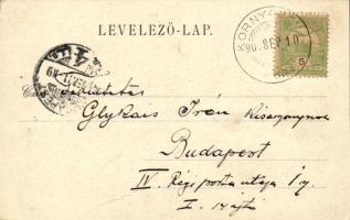 Kornyaréva, Prislop; Látkép, M. Alscher kiadása / view