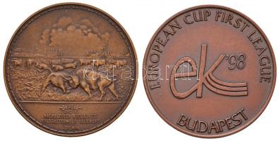 1991. "NKFV 1951-1991 / 40 éves a Nagyalföldi Kőolaj- és Földgáztermelő Vállalat Szolnok" Br emlékérem (42mm) + 1998. "European Cup First Leauge ek '98 Budapest" Br emlékérem. Szign.: MM (42mm) T:1-,2