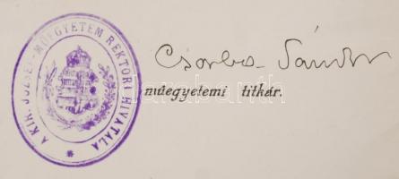 1907 Bp., A Kir. József-Műegyetem rektora és annak dékánja nevében kiadott gépészmérnöki oklevél okm...