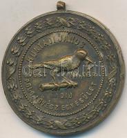 ~1940. "Hunyadi János Polgári Lövész Egyesület Budapest VII. Kerület" fém díjérem (41mm) T...