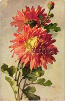 Flower s: Klein, Virág s: Klein
