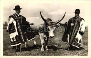 1948 Budapest, Országos Mezőgazdasági Kiállítás és Tenyészállat vásár