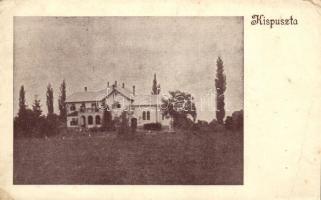 Nagyatád-Kispuszta, Somssich Eszter grófnő kastélya (fa)