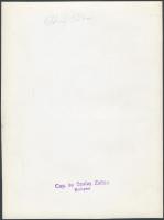 Szalay Zoltán: Déry Tibor (1894-1977) író, pecséttel jelzett fotó, 17x23 cm