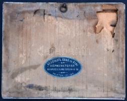 Arad, Vértanú szobor; Délvidéki Egyetemi és Főiskolai Hallgatók Egyesülete. Tusnády szignós irredent...