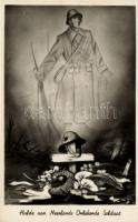 Hulde aan Nederlands Onbekende Soldaat / Homage to Dutch Unknown Soldier, WWII Dutch soldier memory