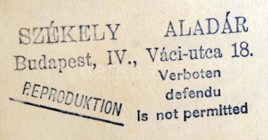 cca 1906-1910 Ady Endre költő (1877-1919) portréfotója, Székely Aladár felvétele, pecséttel jelzett ...