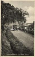 Automobile in Trinidad on the country road