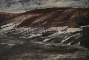 Szegvári jelzéssel: Tél a Balaton partján, olaj, vászon, 49,5×54,5 cm