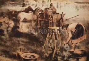 Olvashatatlan jelzéssel: Dunai jelenet. Színezett rézkarc, papír, jelzett, 29x39 cm