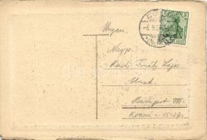 Bonn, Beethovens Geburtshaus / Beethoven's birth house, etching layout, art postcard