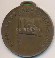 ~1910. "Nicolas de Genere Huba 1903 / Caput Gloriae Virtus (Legfőbb dicsőség a vitézség)" Br lövészérem mellszalag nélkül T:2