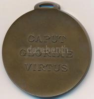 ~1910. "Nicolas de Genere Huba 1903 / Caput Gloriae Virtus (Legfőbb dicsőség a vitézség)" ...