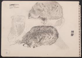 Herman Lipót (1884-1972): Cicák (vázlatok). Ceruza, papír, hagyatéki pecséttel, 17×23 cm