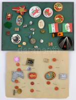 46db vegyes szocialista jelvény, kitűző, főleg magyar és külföldi darabok, közte sok "1978-1981 BNS Társadalmi Munkáért" zománcozott fém kitűző T:vegyes