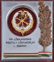 ~1960-1970. "Hadsereg Bajnok - MN. Lőbajnokság Pisztoly Lőgyakorlat I. Csapat" aranyozott, zománcozott jelvény, fém keretben, dísztokban (105x90mm) T:2