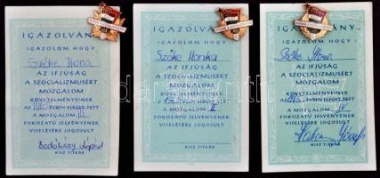 1963-1965. "KISZ Ifjúság a Szocializmusért" 2.,3. és 4. fokozatának zománcozott fém jelvényei igazolványokkal T:2