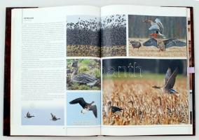 Elek Balázs-Zsoldos Barnabás: Magyar vadászösvényeken. Debrecen, Tóth Könyvkereskedés és Kiadó Kft. ...